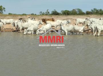 Imagem 1 · Fazenda