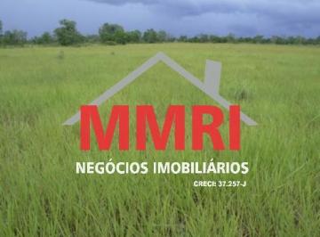 Imagem 1 · Fazenda
