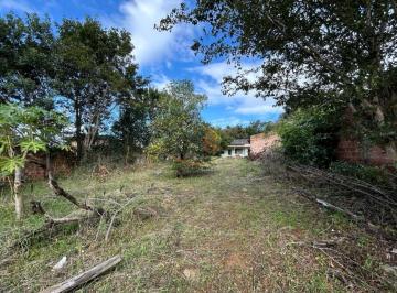 Foto 01 · Terreno Plano 480m² com Arvores frutíferas em Rua Asfaltada