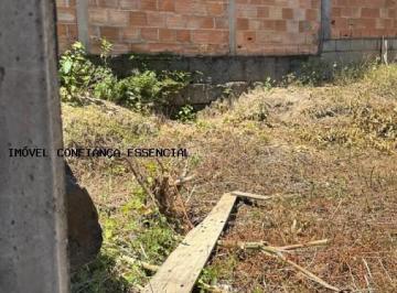 20250513003012494.jpg · Lote para Venda em Florestal, Centro Florestal, 1 dormitório, 1 banheiro, 2 vagas