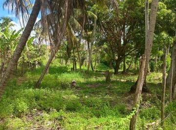 Lote à venda, IPIOCA, Maceió, AL · Lote à venda, IPIOCA, Maceió, AL