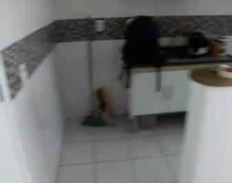 Apartamento · 40m² · 2 Quartos · Apartamento em Jardim Las Vegas, Guarulhos/SP de 40m² 2 quartos para locação R$ 2.000,00/mes