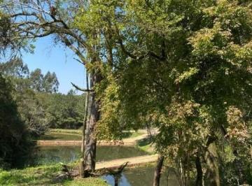 Rural · 12859m² · 4 Quartos · 3 Vagas · Chácara em Cidade Jardim, São José dos Pinhais/PR de 12859m² 4 quartos à venda por R$ 990.000,00