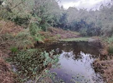 Rural · 33000m² · 2 Quartos · 3 Vagas · Chácara em , Tijucas do Sul/PR de 33000m² 2 quartos à venda por R$ 580.000,00