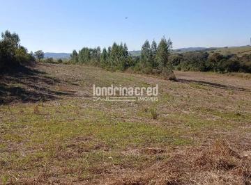 Terreno · 60500m² · Área em , Jataizinho/PR de 60500m² à venda por R$ 590.000,00