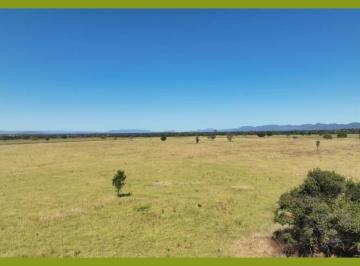 Rural , Formosa · “IMPERDÍVEL: FAZENDA TRADICIONAL A 149 KM DE BRASÍLIA – 5.000 HA, 5.100 RESES
