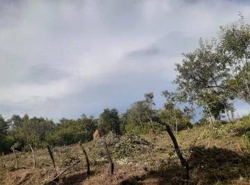 Terreno · 3805m² · Excelente lote à venda em São Bartolomeu - MG