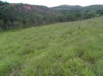Terreno · Terreno / Área à venda, Gouveia - Santo Antônio Do Leite/MG