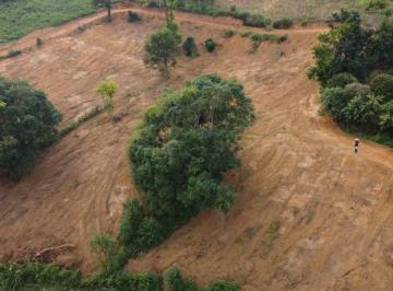 Terreno · 1000m² · Excelente terreno a venda em Miguel Rodrigues.