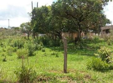 Terreno · 263m² · Lote à Venda na Chapada - Santo Antônio do Leite