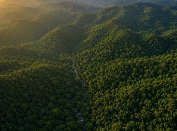 202605281946032928.png · Fazenda para Compensação Ambiental