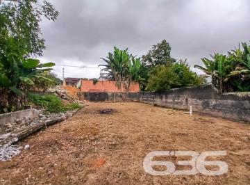 Foto1639153916141371911.jpg · Terreno | Joinville | Jarivatuba | 584,64M²