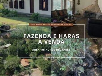 Rural · 1435m² · Fazenda à venda Fazenda Santo Antônio do Cedro, Carmópolis de Minas MG.