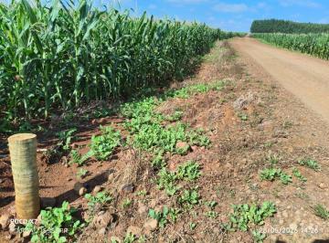 Rural · 96800m² · VENDA | Chácara, em Zona Rural, Doutor Camargo