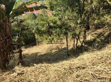 Terreno · 2505m² · Terreno à Venda em Condomínio Rural na Zona Norte - Excelente Oportunidade para Investir e Construir