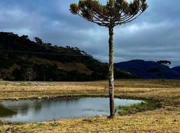 Rural · 20000m² · Chácara à venda no bairro Interior - Urubici/SC
