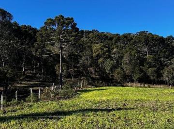 Rural · 20000m² · Chácara à venda no bairro Interior - Urubici/SC