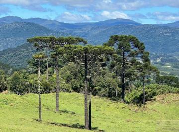 Rural · 20000m² · Chácara à venda em Urubici/SC