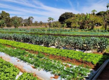 Rural · 150m² · 2 Quartos · Chácara Escriturada Núcleo Rural Saia Velha Santa Maria na Beira da Pista