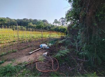 Terreno · 70304m² · Lote / Terreno para venda em Munhoz de 70304.00m²