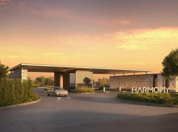 img0 · Harmony