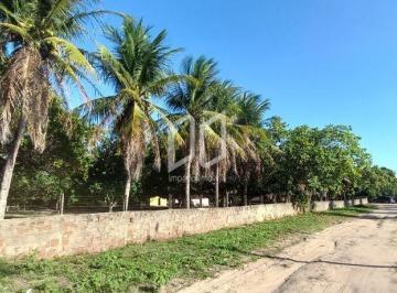 Rural · 800m² · 2 Quartos · 10 Vagas · Fazenda / Sítio para venda em Santa Tereza de 800.00m² com 2 Quartos e 10 Garagens