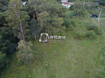 Rural · 30000m² · 2 Quartos · Chácara 3 Hectares à Venda - Monte Bonito, Pelotas R$ 320mil