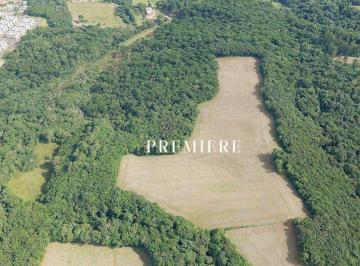 855375a60658eda559c5ecadeeb4ea99169e3532 · Terreno à venda, 181500 m² por R$ 17.500.000,00 - Butiatuva - Campo Largo/PR