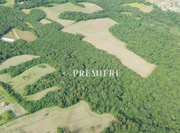 bda7151810266553f7d61aae07040aef7c35eeb8 · Terreno à venda, 96800 m² por R$ 1.500.000,00 - Butiatuva - Campo Largo/PR