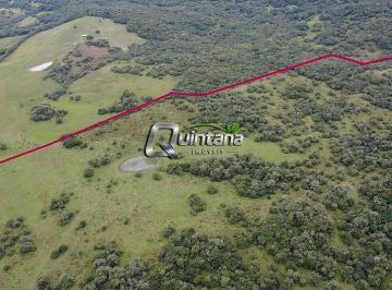 Imagem 1 · Fazenda para venda em Centro, Pinheiro Machado