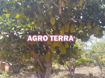 Imagem 1 · Fazenda