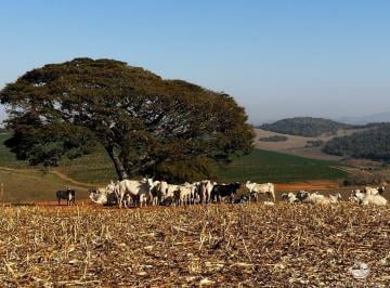 Imagem 1 · Fazenda