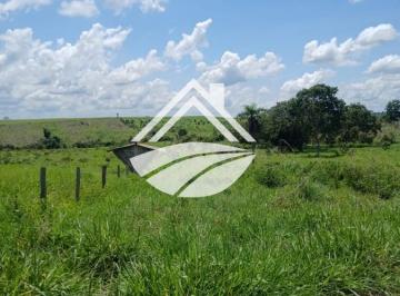 Imagem 1 · Fazenda