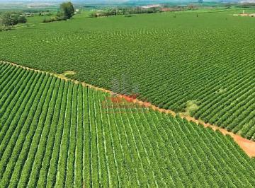 Imagem 1 · Fazenda para venda em Centro, Piumhi