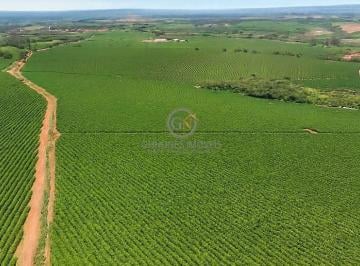 Imagem 1 · Fazenda para venda em Centro, Piumhi