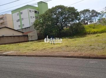 Terreno · 257m² · Terreno disponível para venda no bairro Aclimação em Uberlândia-MG