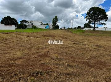 Terreno · 607m² · Terreno disponível para venda no bairro Jardim Inconfidência em Uberlândia-MG