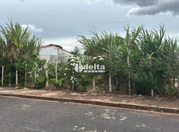 Terreno · 300m² · Terreno disponível para venda no bairro Aclimação, em Uberlândia-MG.