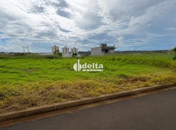Terreno · 300m² · Terreno disponível para venda no bairro Loteamento Portal do Vale II em Uberlândia MG