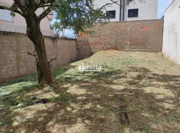 Terreno · 250m² · Terreno disponível para venda no bairro Bosque dos Buritis em Uberlândia-MG