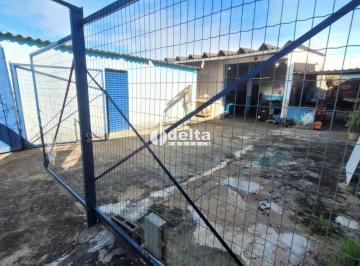 Comercial · 250m² · Galpão disponível para venda no bairro Brasil, em Uberlândia-MG.