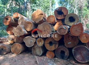 Rural · 726m² · Fazenda em Brasnorte - Centro - Brasnorte/MT