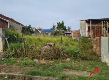 .jpg+2025-03-04 · Terreno para Venda 299m², Tristeza