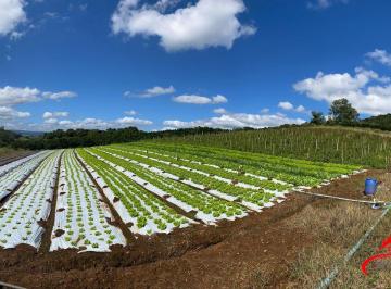Rural · 200m² · Rurais à venda - em São José do Hortêncio