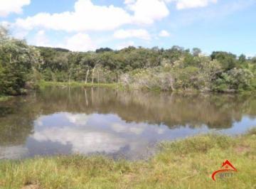 .jpg+2025-03-05 · Terreno para Venda - 0m², 0 dormitórios, Lageado