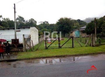 .jpg+2025-03-05 · Terreno para Venda - 0m², 0 dormitórios, Belém Velho