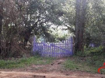 .jpg+2025-03-05 · Terreno para Venda - 0m², 0 dormitórios, Lageado
