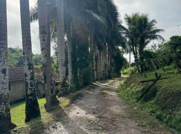 Rural de 3 quartos, Miracatu · " FAZENDINHA " 53 HECTARES COM PLATAÇÃO DE LICHIA/PITAYA/PUPUNHA/CHUCHU/