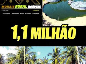 Rural de 3 quartos, Miracatu · " FAZENDINHA " 53 HECTARES COM PLATAÇÃO DE LICHIA/PITAYA/PUPUNHA/CHUCHU/