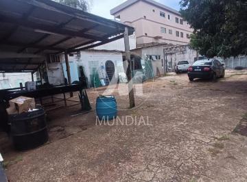 Quintal/corredores · Salão/Galpão (salão - térreo)